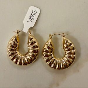 Gold Filled Hoop Earrings